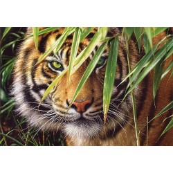 Пазл "Взгляд тигра", 1500 элементов